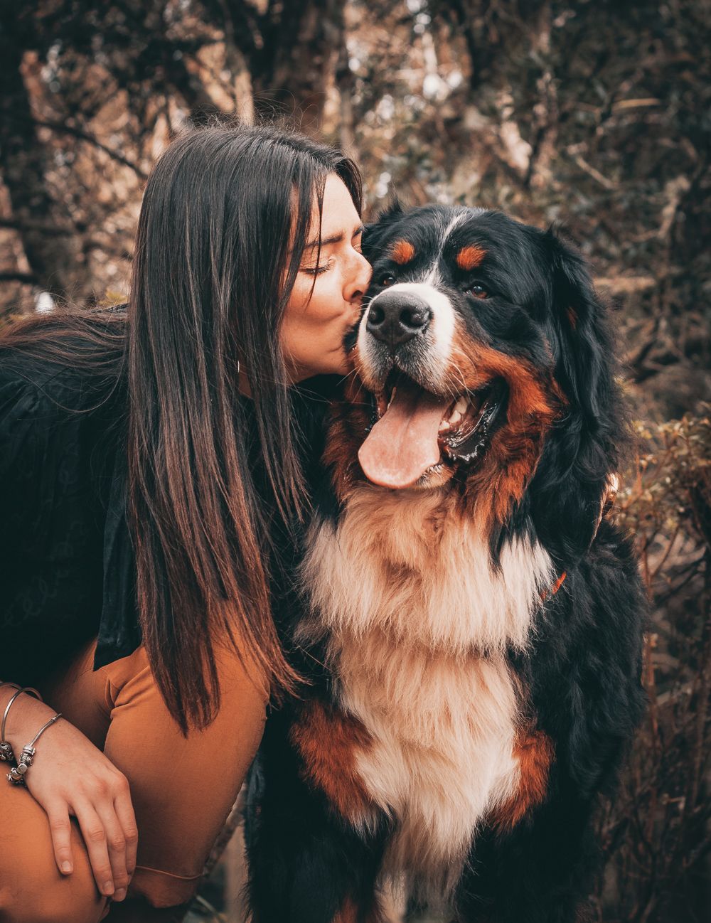 Photo session with dogs. Memories of animal family members.