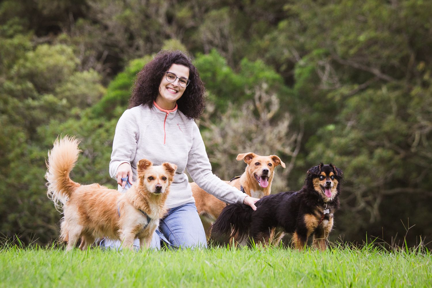 Photo session with dogs. Memories of animal family members.