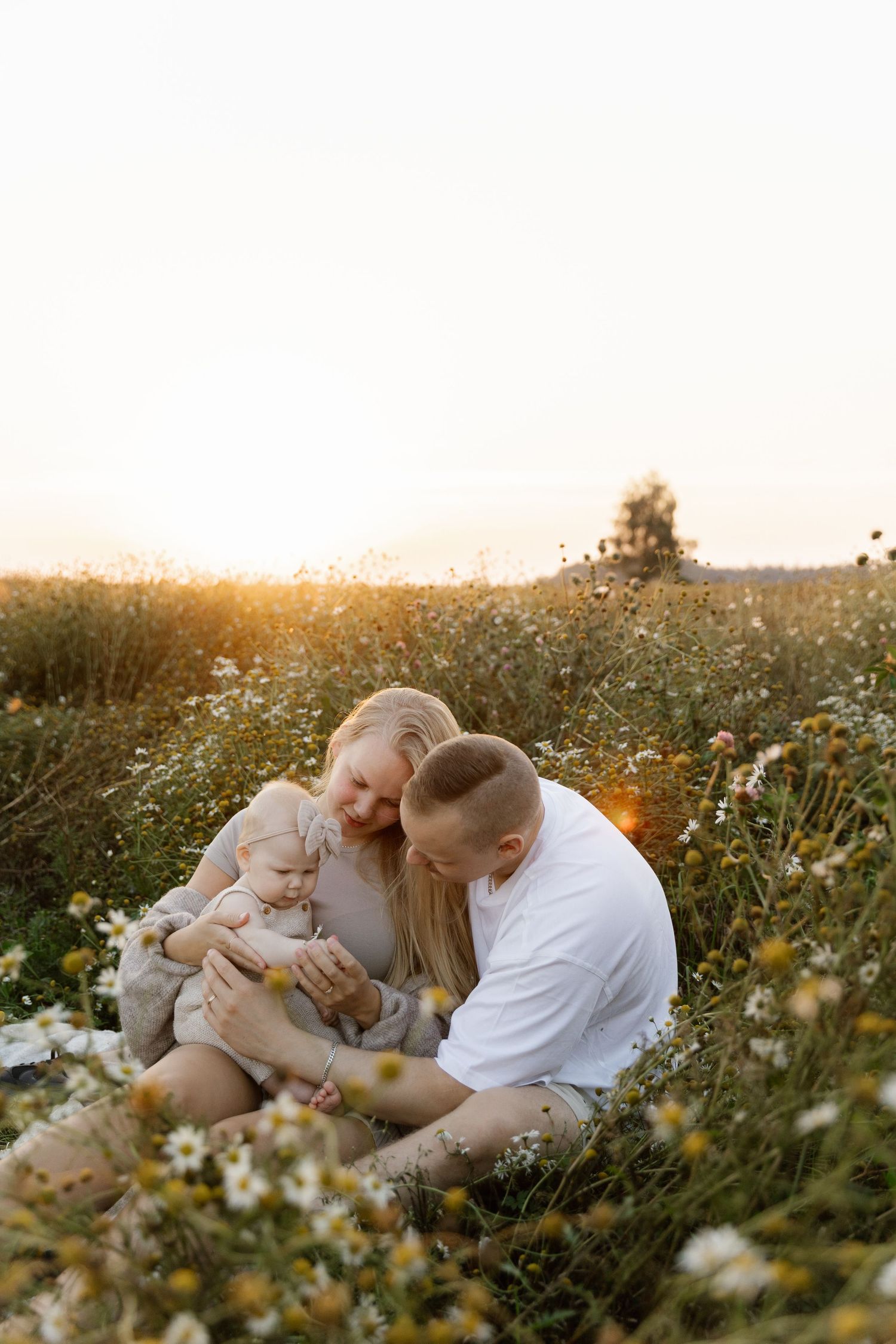 Family sharing intimate moment in wildflower field at golden hour.