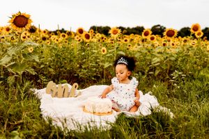 Family embraces new addition in a magical New Haven, CT woodland newborn session