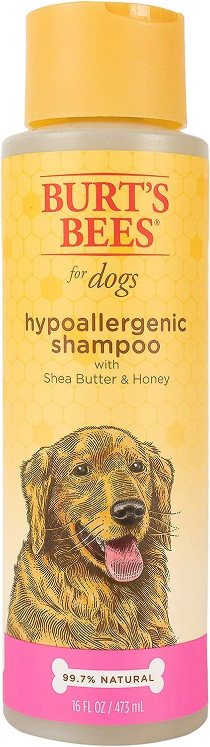 Shampoo