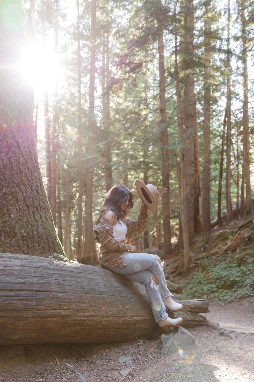 Sunlight filters through trees as someone sits on a fallen log in a forest setting.