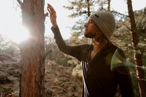 Person in beanie reaching toward sunlit tree trunk in forest setting.