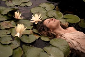 Ethereal scene of floating in lily pads with blooming water lilies in a dreamy pond setting.