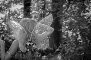 Ethereal fairy wings silhouetted against a dreamy forest backdrop in black and white.