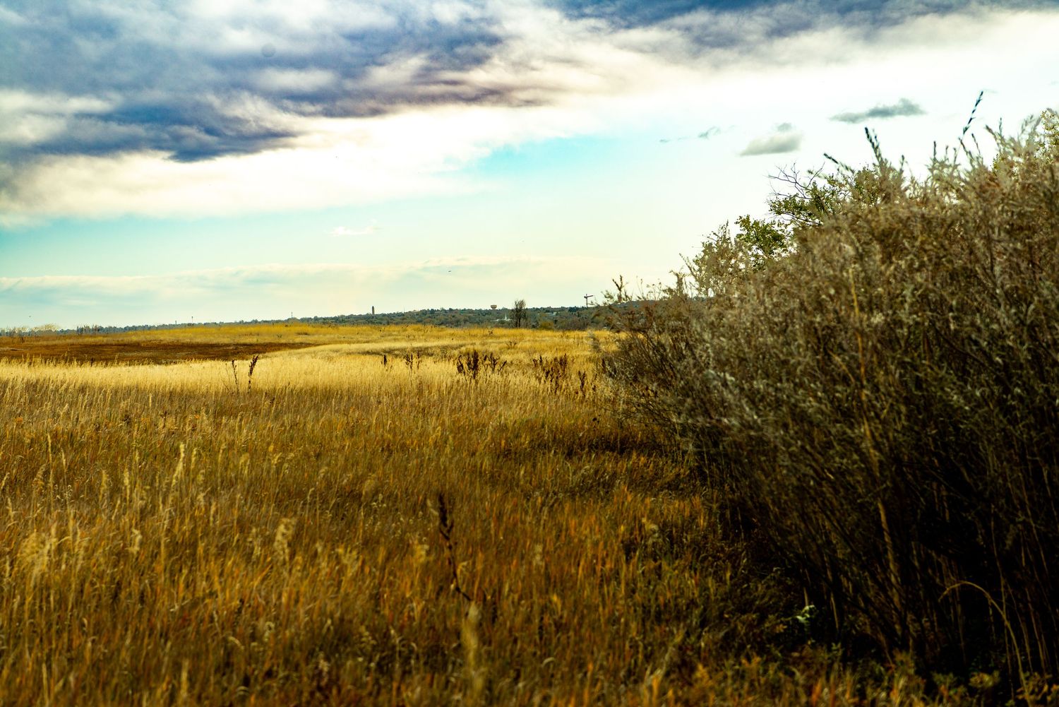 Fall fields, Aurora, CO