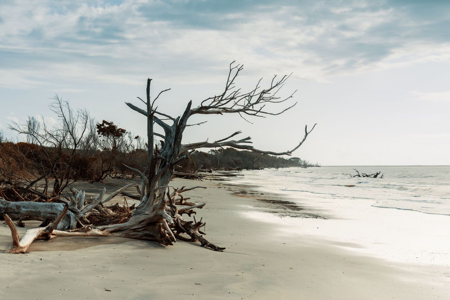 Boneyard Beach, SC