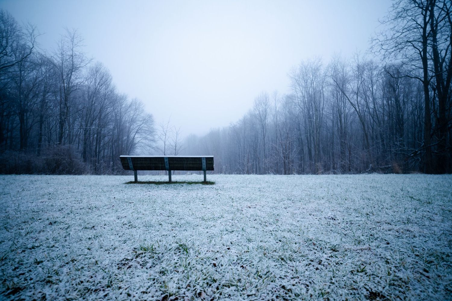 Solitary bench on snow-covered field surrounded by bare winter trees in foggy conditions.