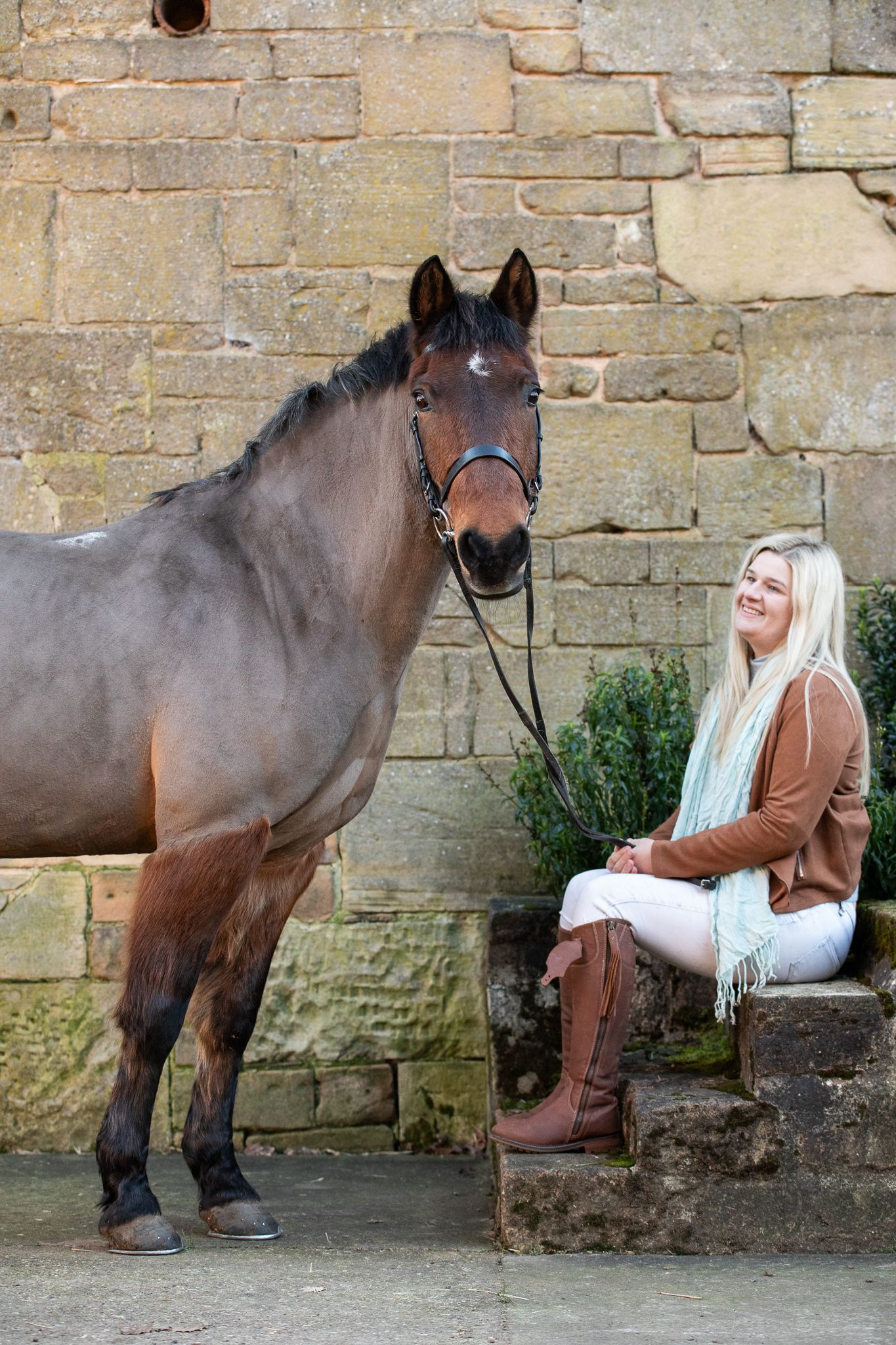 A stunning bay horse stands beside a stone wall where someone sits on the steps.