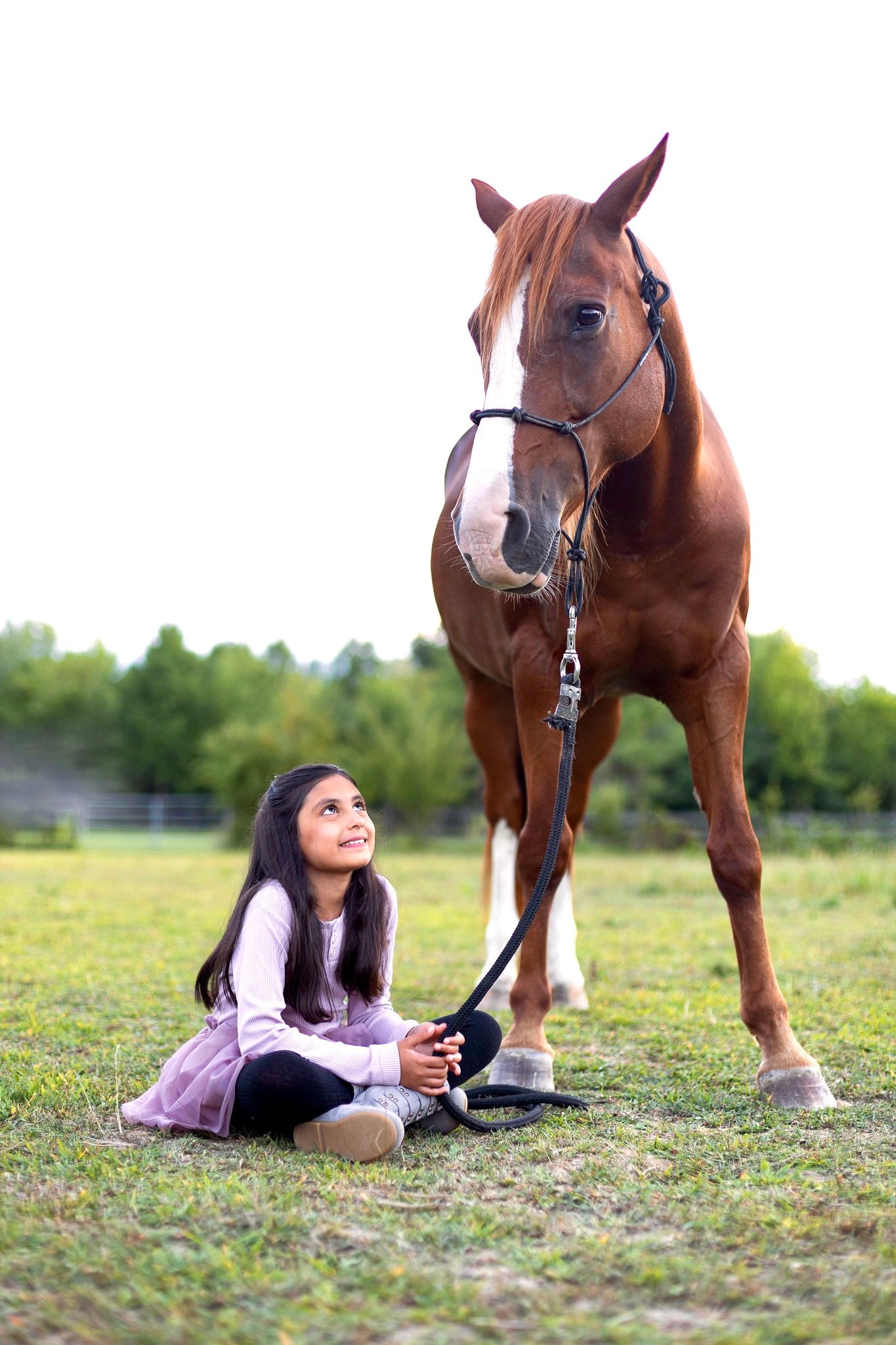 Person in purple dress sits near attentive brown horse with bridle in grassy field.