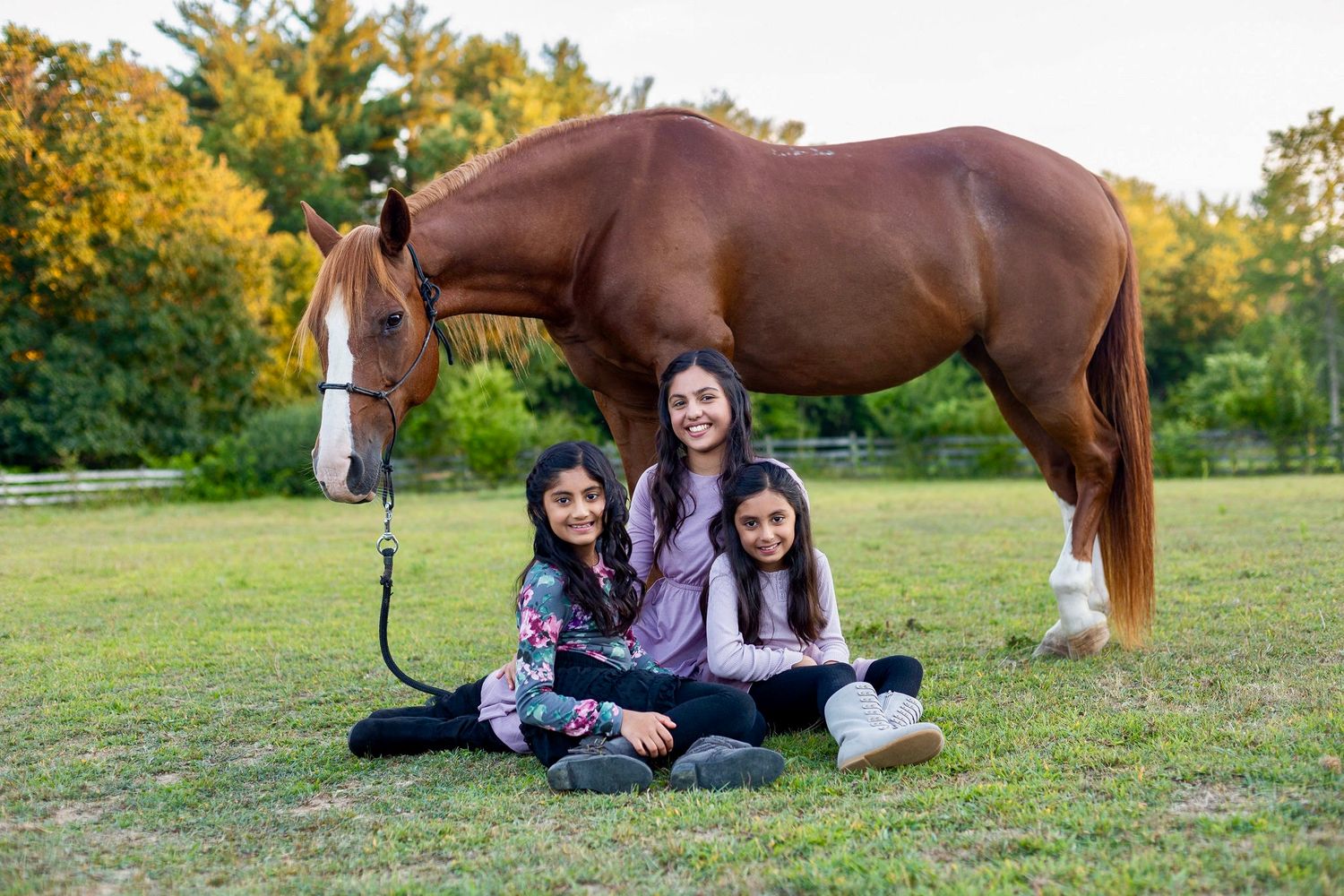Group sitting on grass beside a brown horse in an autumn-colored field.