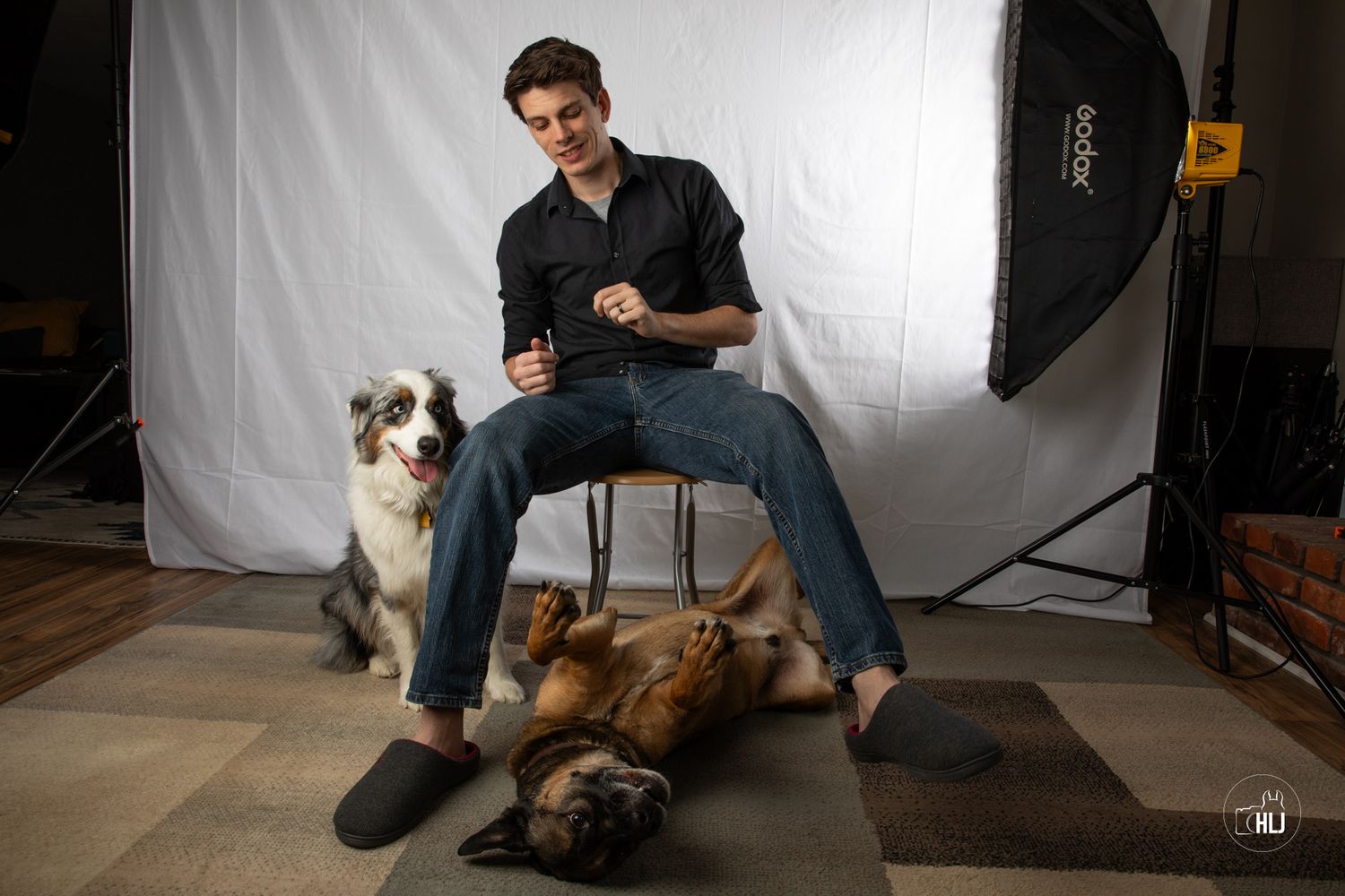 Portrait session in photo studio with two dogs and photography lighting equipment.