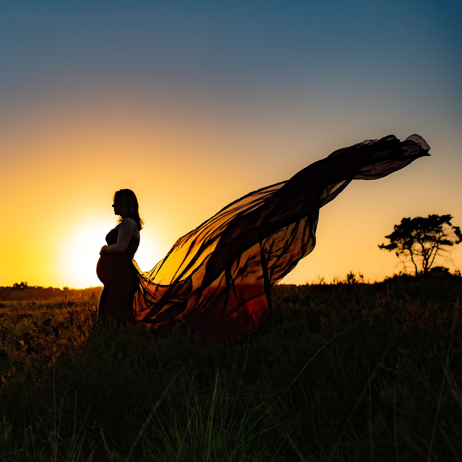 Reportage van zwangere dame tijdens de zonsondergang op de heide