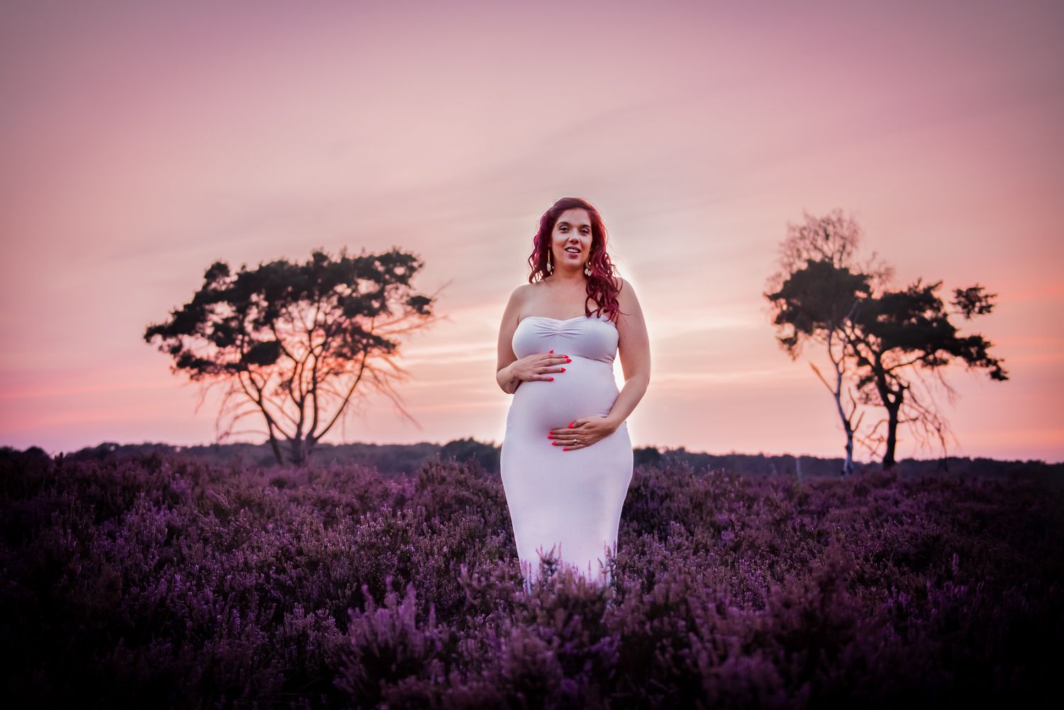 bij valavond een reportage op de heide voor het mooiste licht