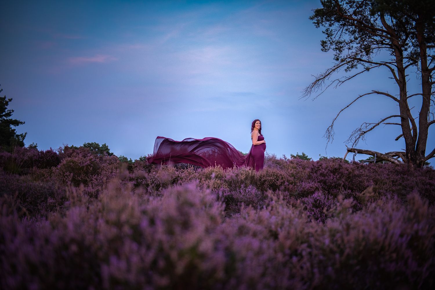 een zwangere dame tussen de bloeiende heide tijdens haar zwangerschapsreprotage