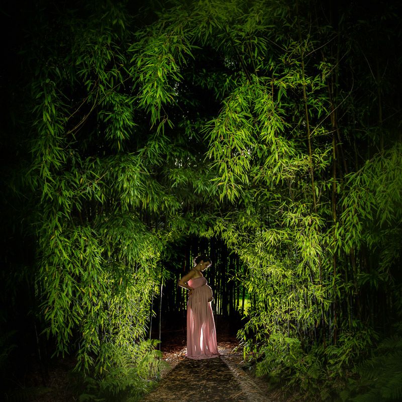 Zwangerschapsreportage van professionele fotograaf in arboretum kalmthout