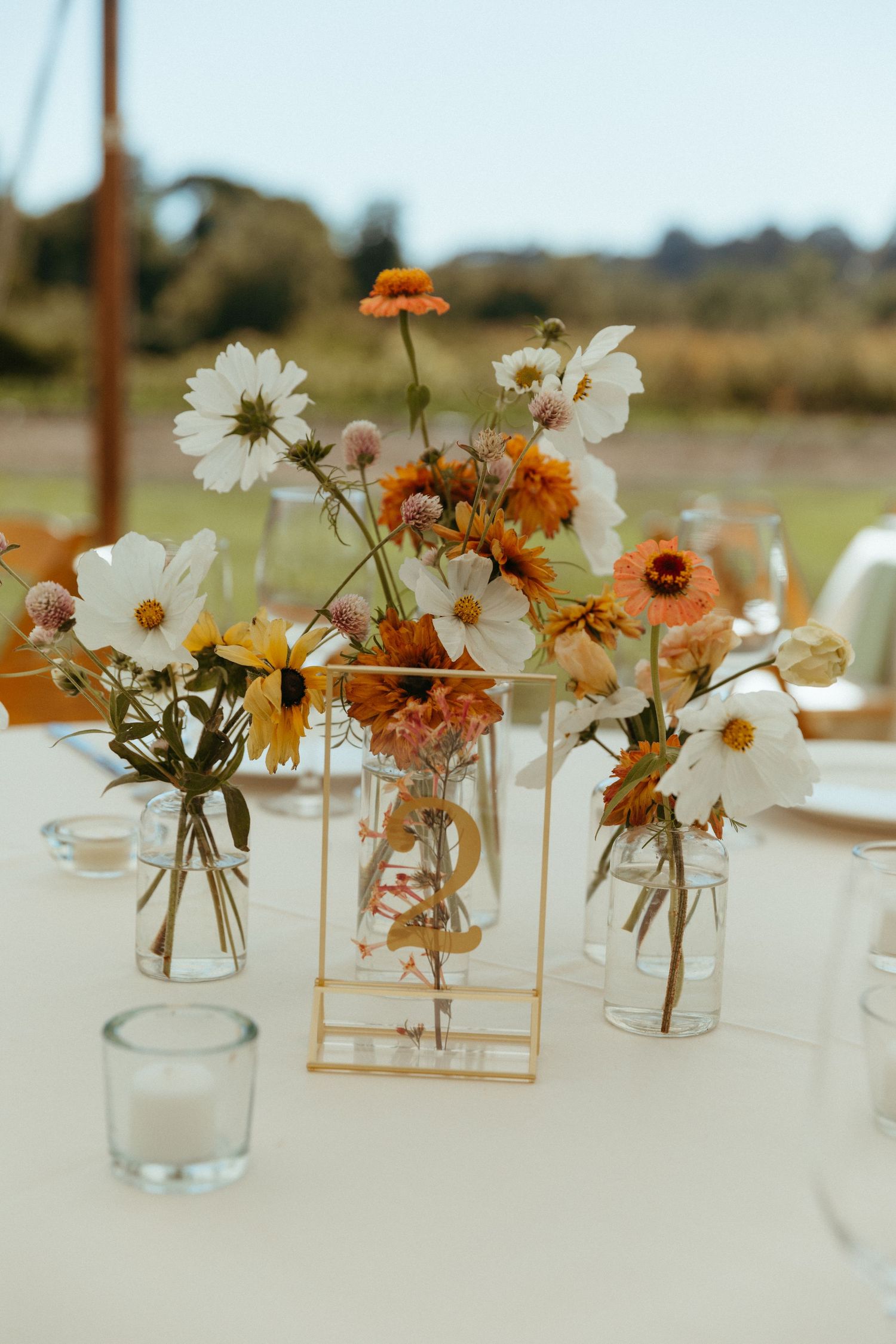Rustic centerpiece with white and orange cosmos flowers in glass vases on wedding table.