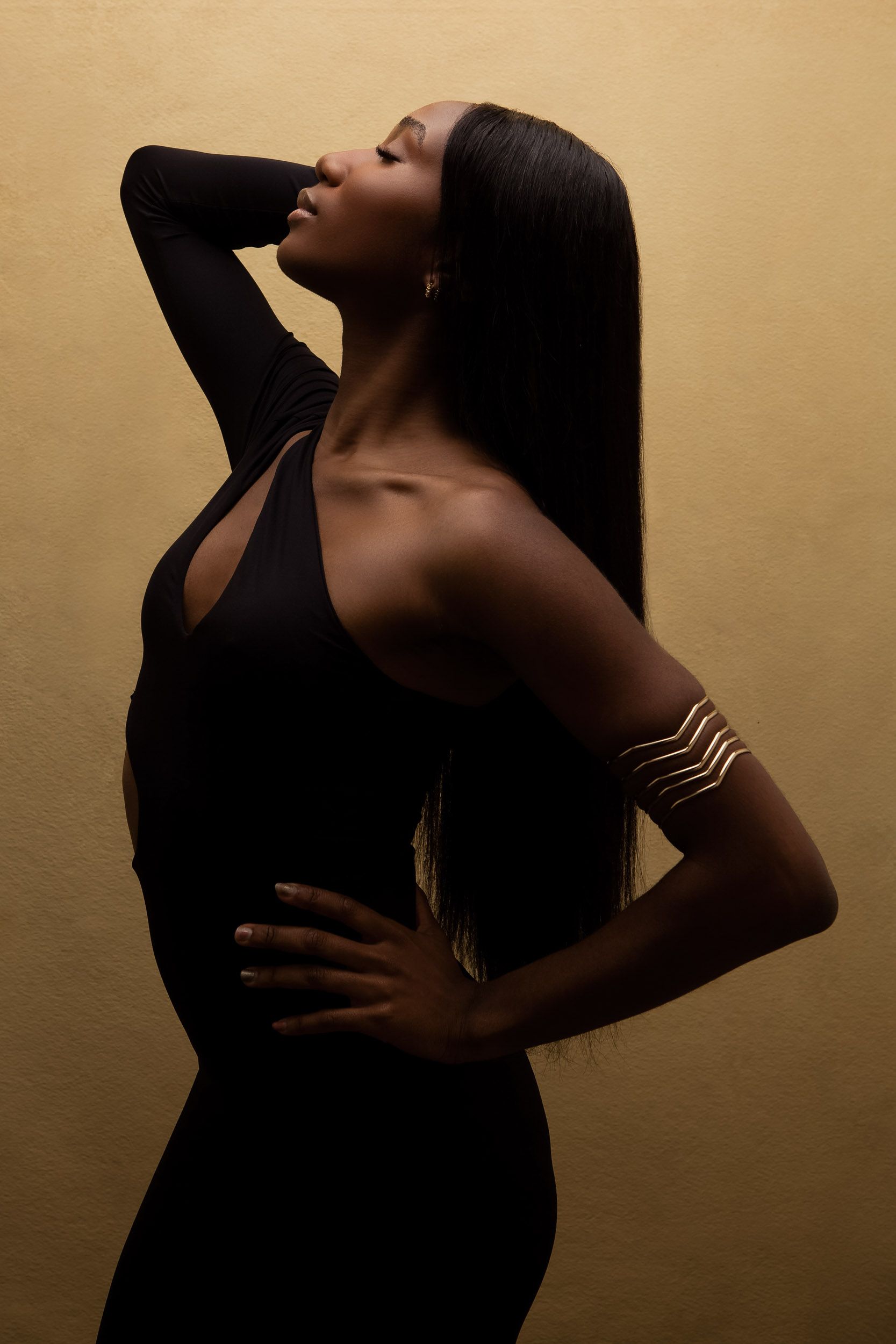 Artistic silhouette series with graceful poses against warm golden background.