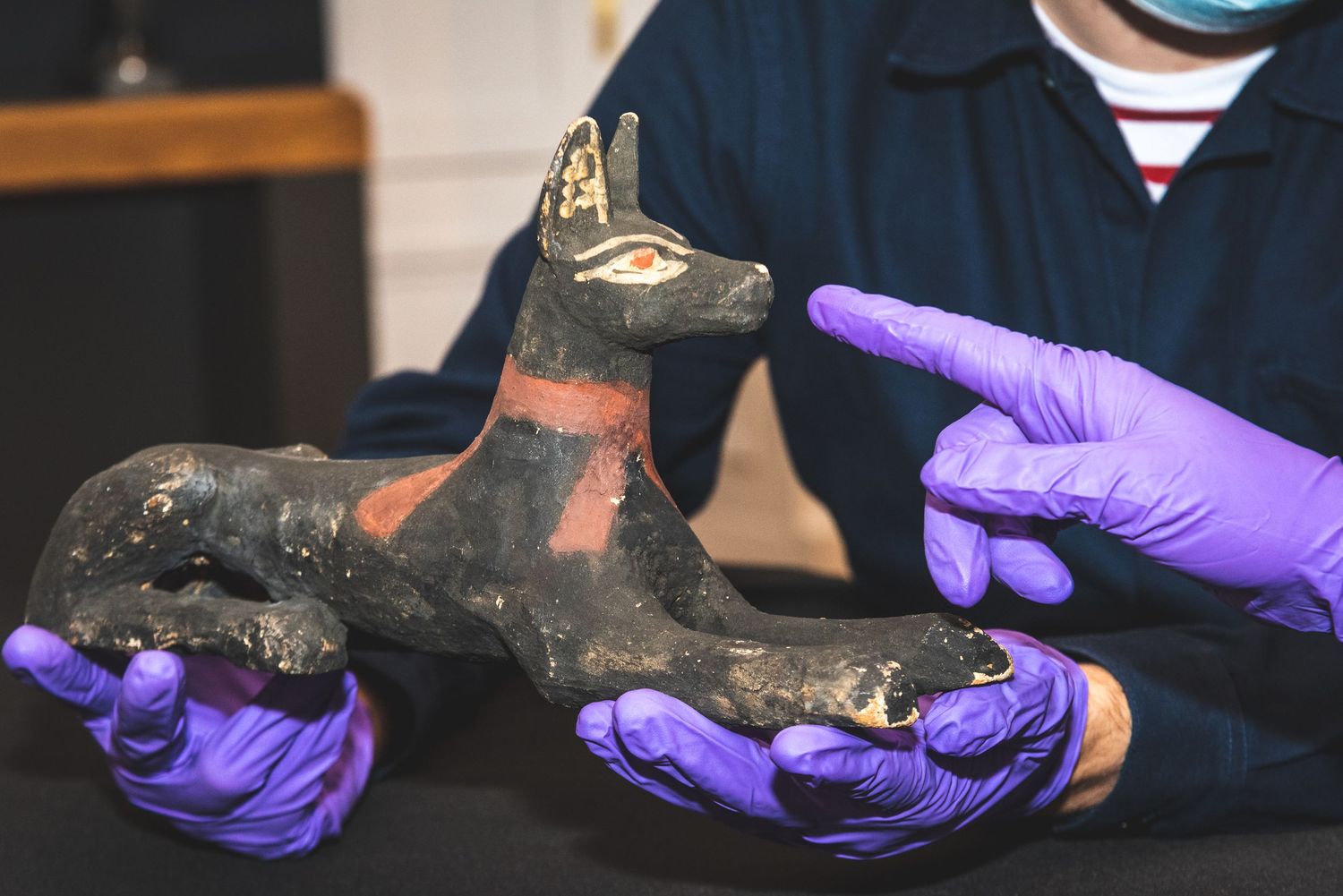 Ancient Egyptian cat statue being examined with purple gloves at museum.