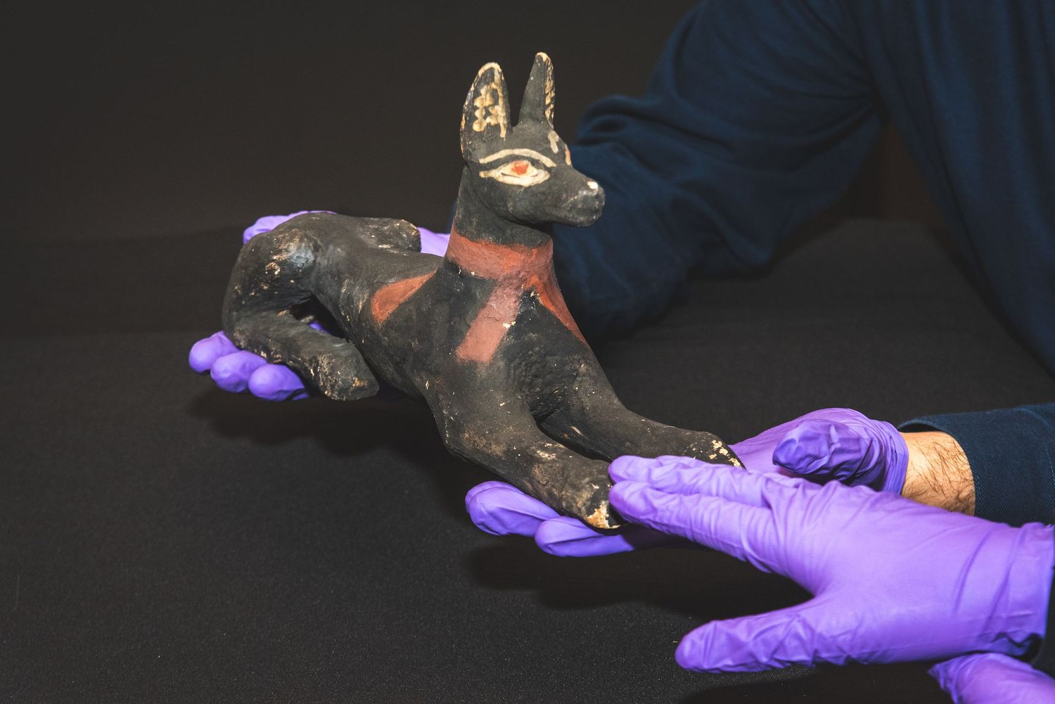 Hands wearing purple gloves examine a small dark figurine of a kangaroo on a black surface.