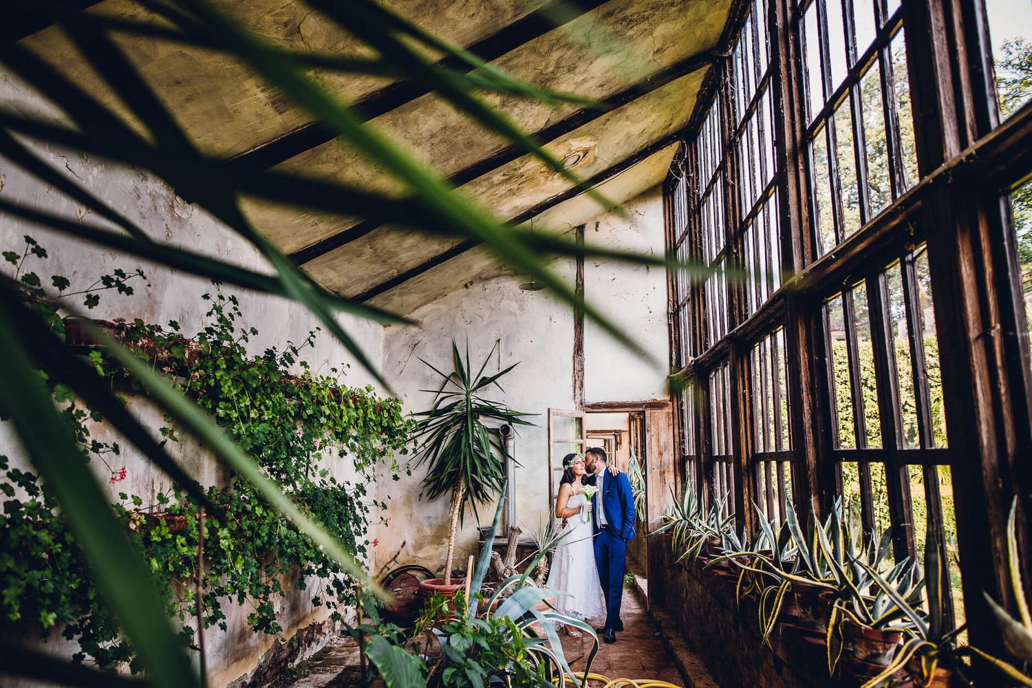 Greenhouse venue with large windows and plants creates romantic ambiance for wedding photos.