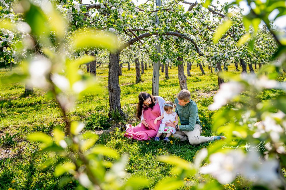 Séance lifestyle, enfant, famille, fleurs, vergers, grossesse