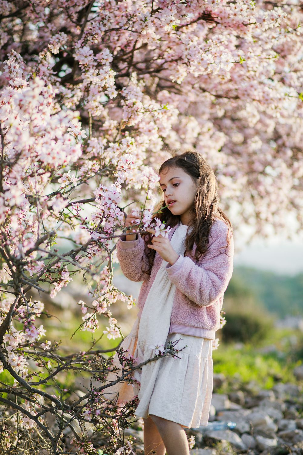 A girl stands next to a pink almond tree and looks at the flowers