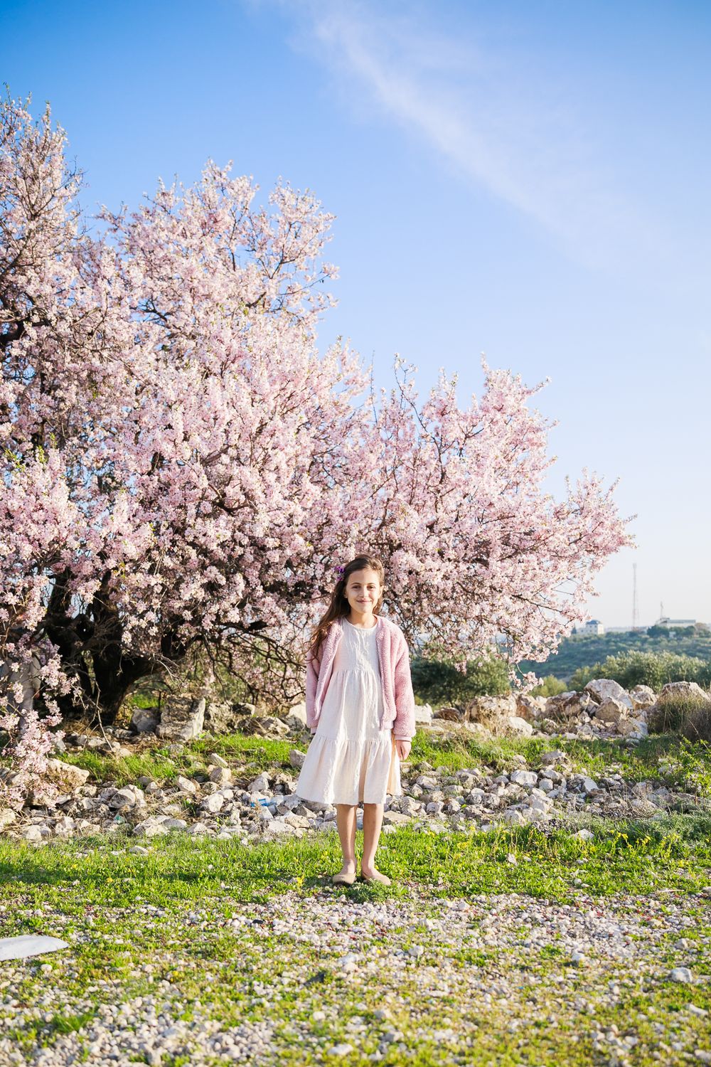A photograph of a girl standing in a field with a pink almond tree behind her