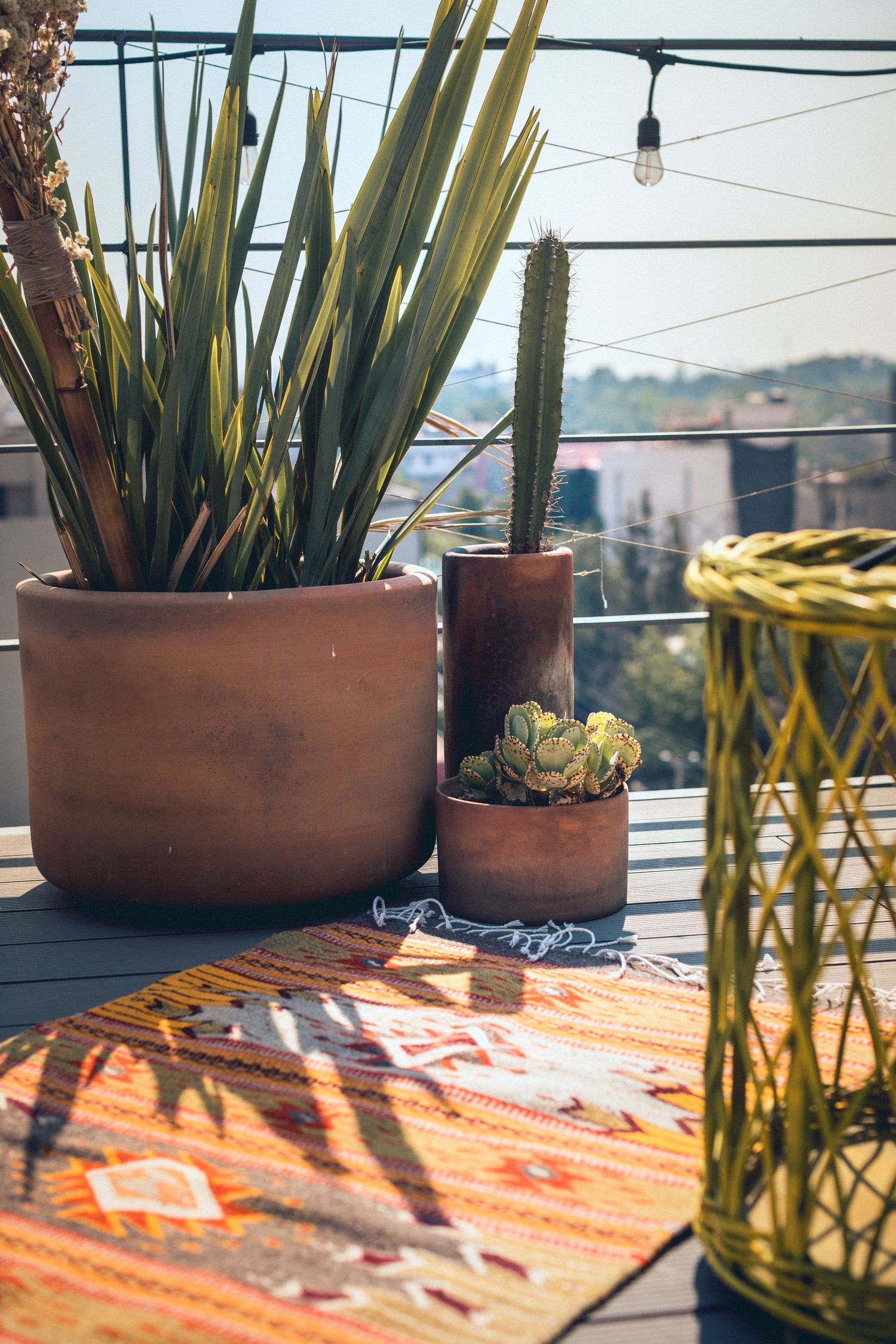 Potted plants on balcony with orange patterned rug and city views.