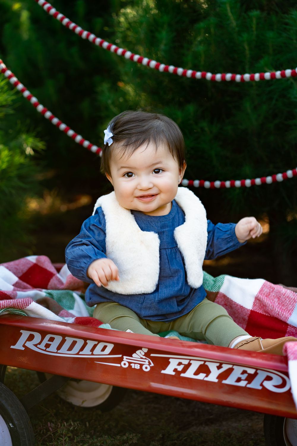 Rachel Aranico Photography, Baby in wagon