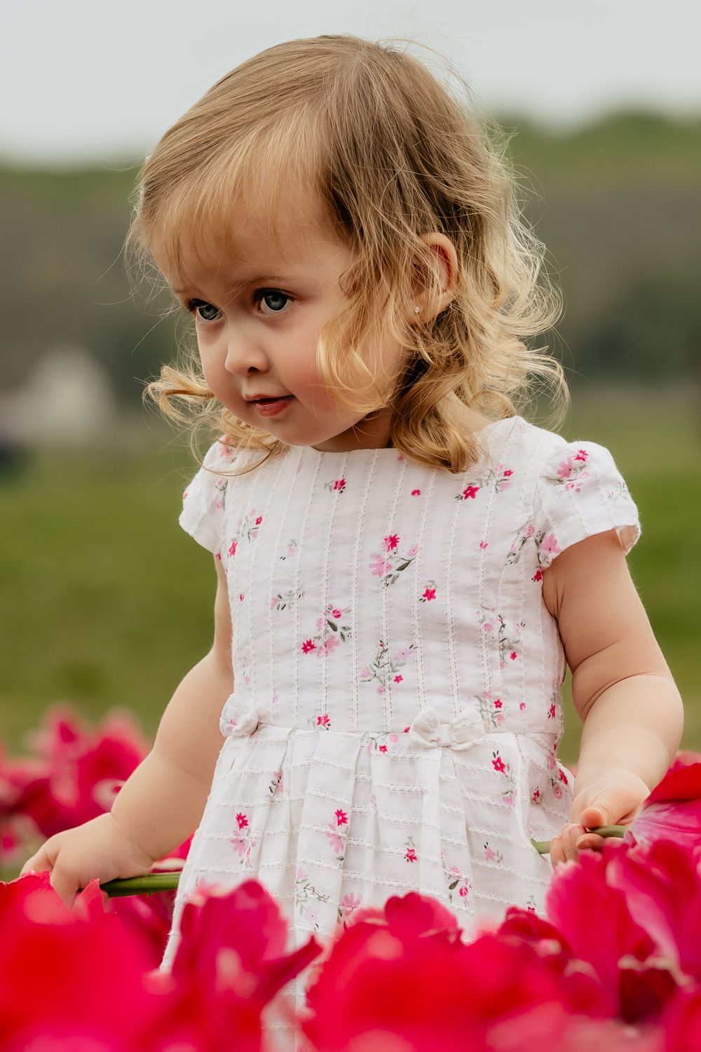 Small child wearing delicate floral dress smiles among bright red tulips.