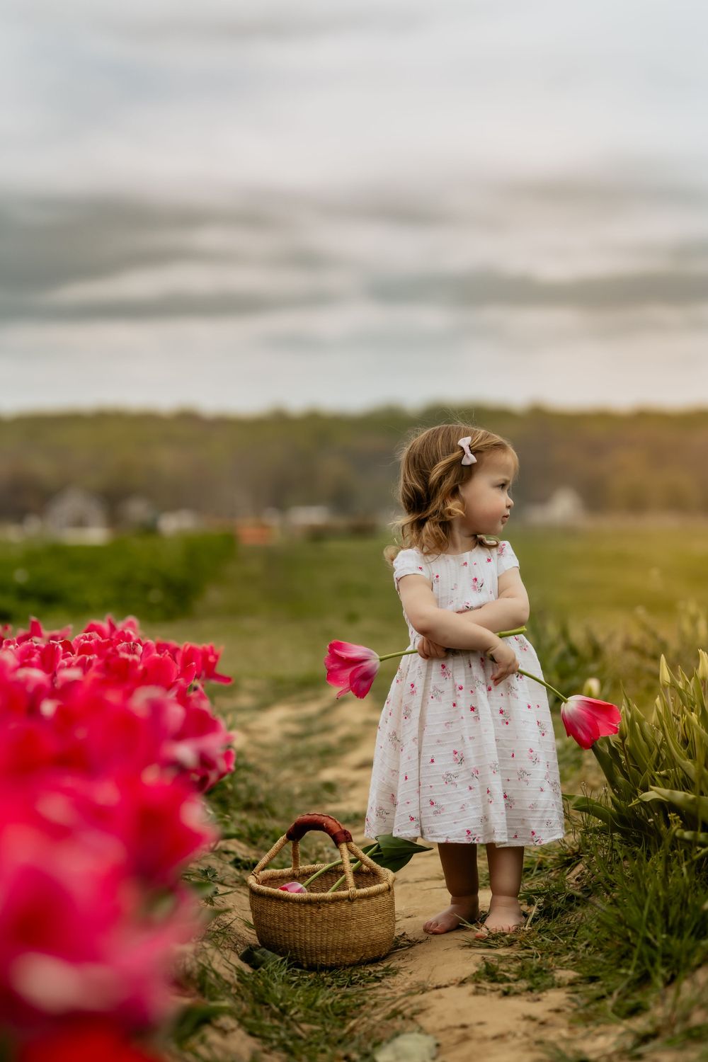 Child in floral dress stands thoughtfully among red tulips with wicker basket on dirt path.