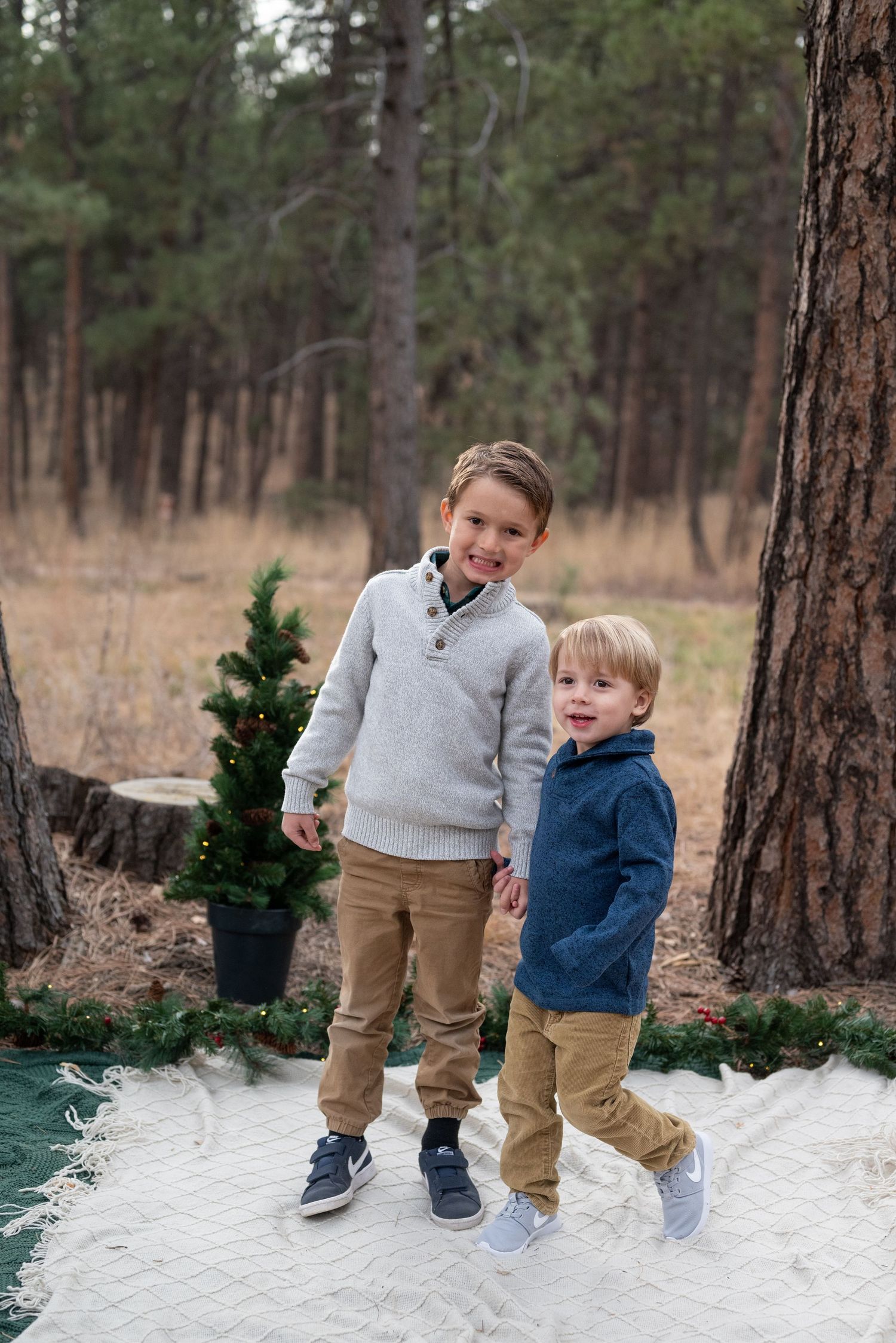 Holiday Mini Sessions in Colorado Springs