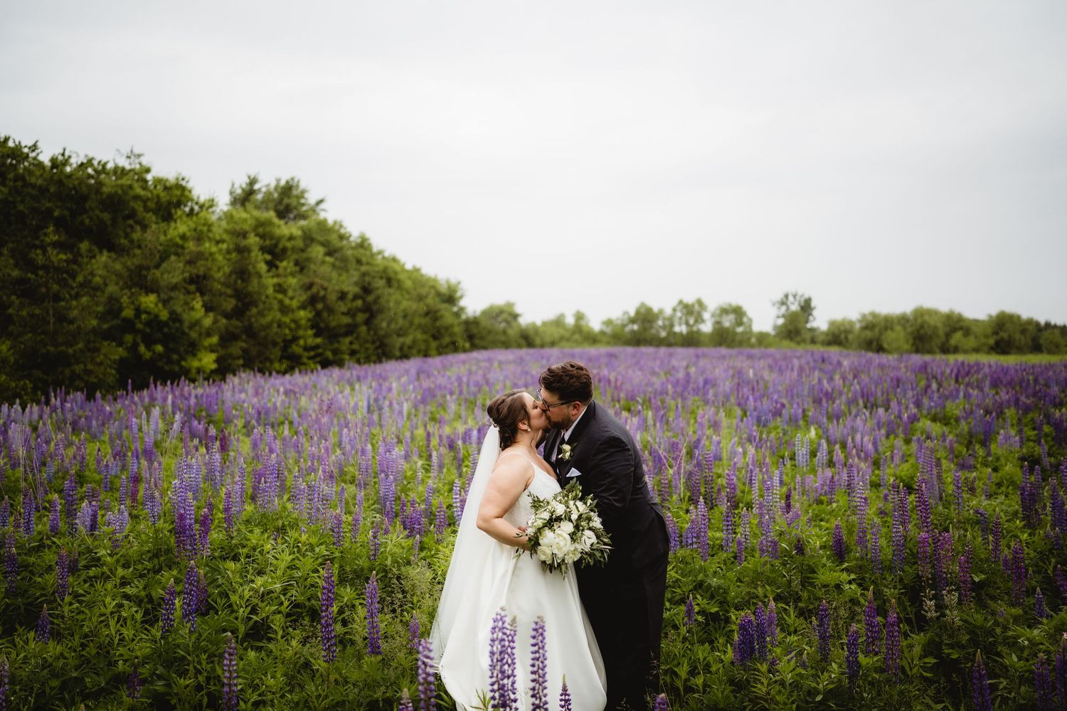 A couple embraces in a meadow filled with purple lupine flowers under an overcast sky.