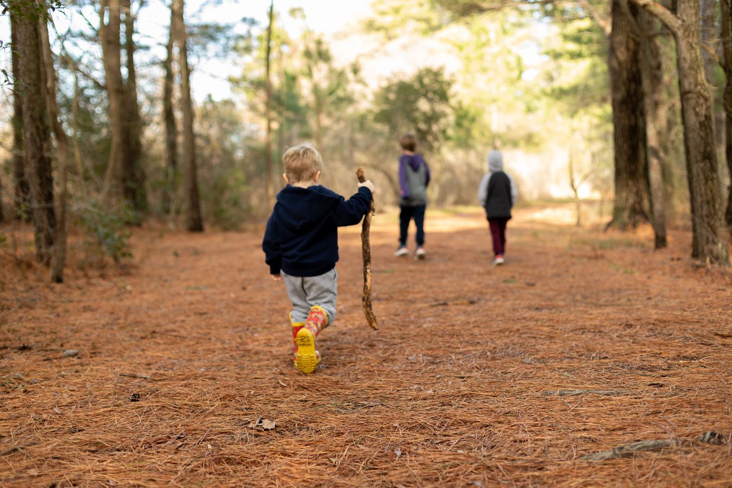 A child in yellow boots runs along a pine-needle covered forest trail.