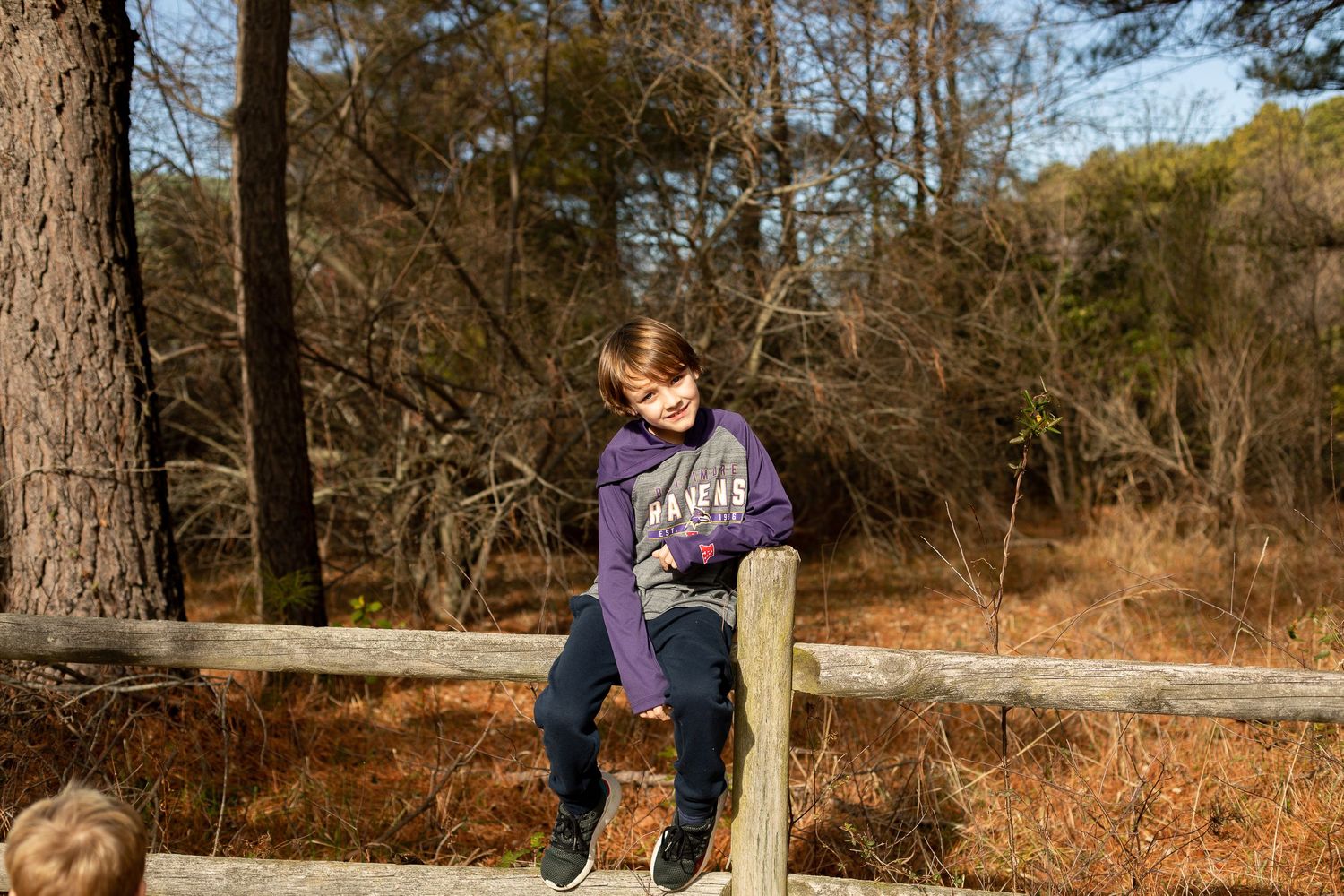 Child sitting on a wooden fence post in a forest setting with brown foliage.