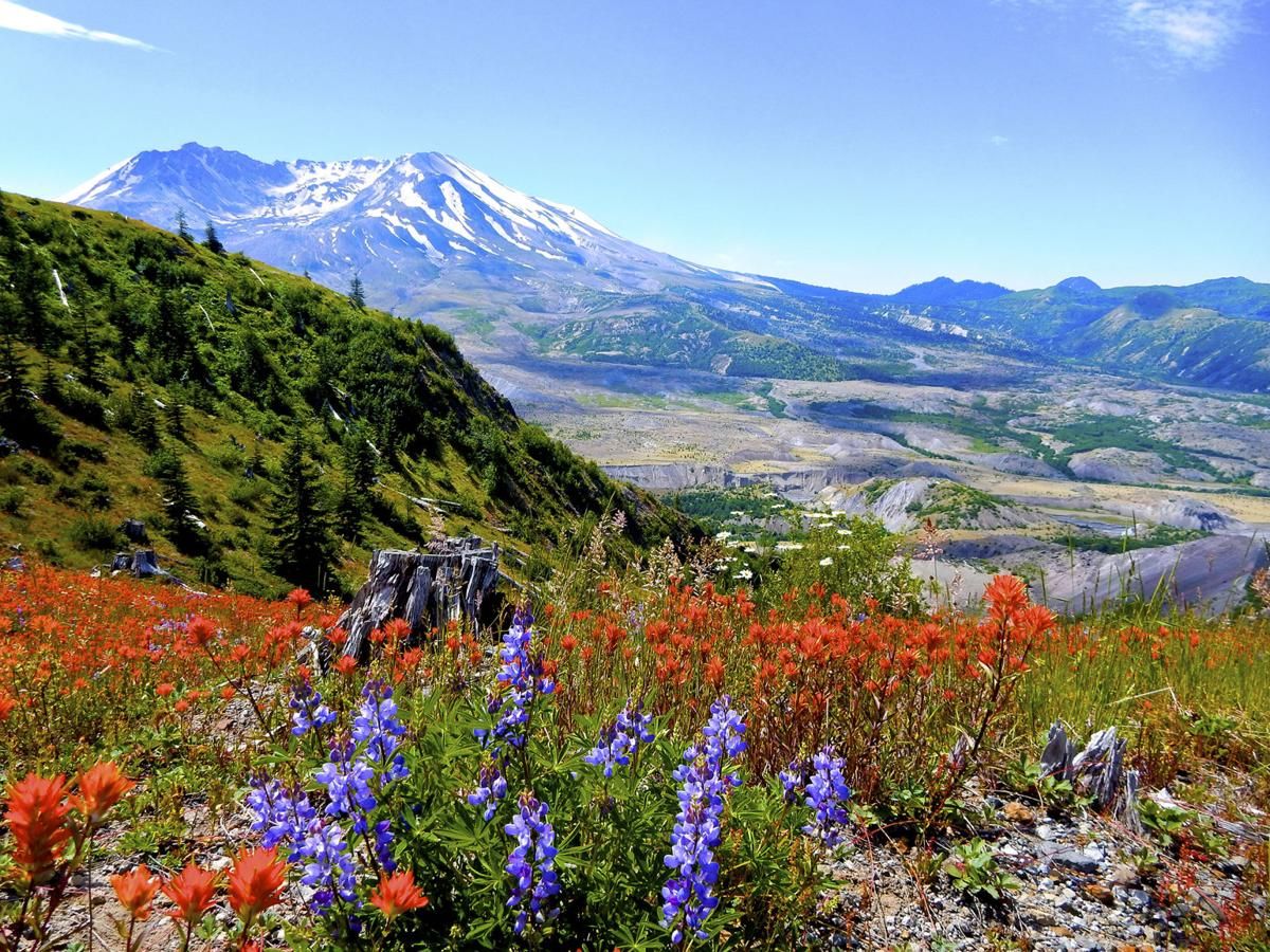 Mt. St. Helens in Washington