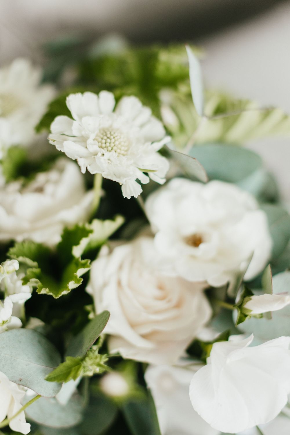 A delicate white floral arrangement with roses and daisies in soft focus.