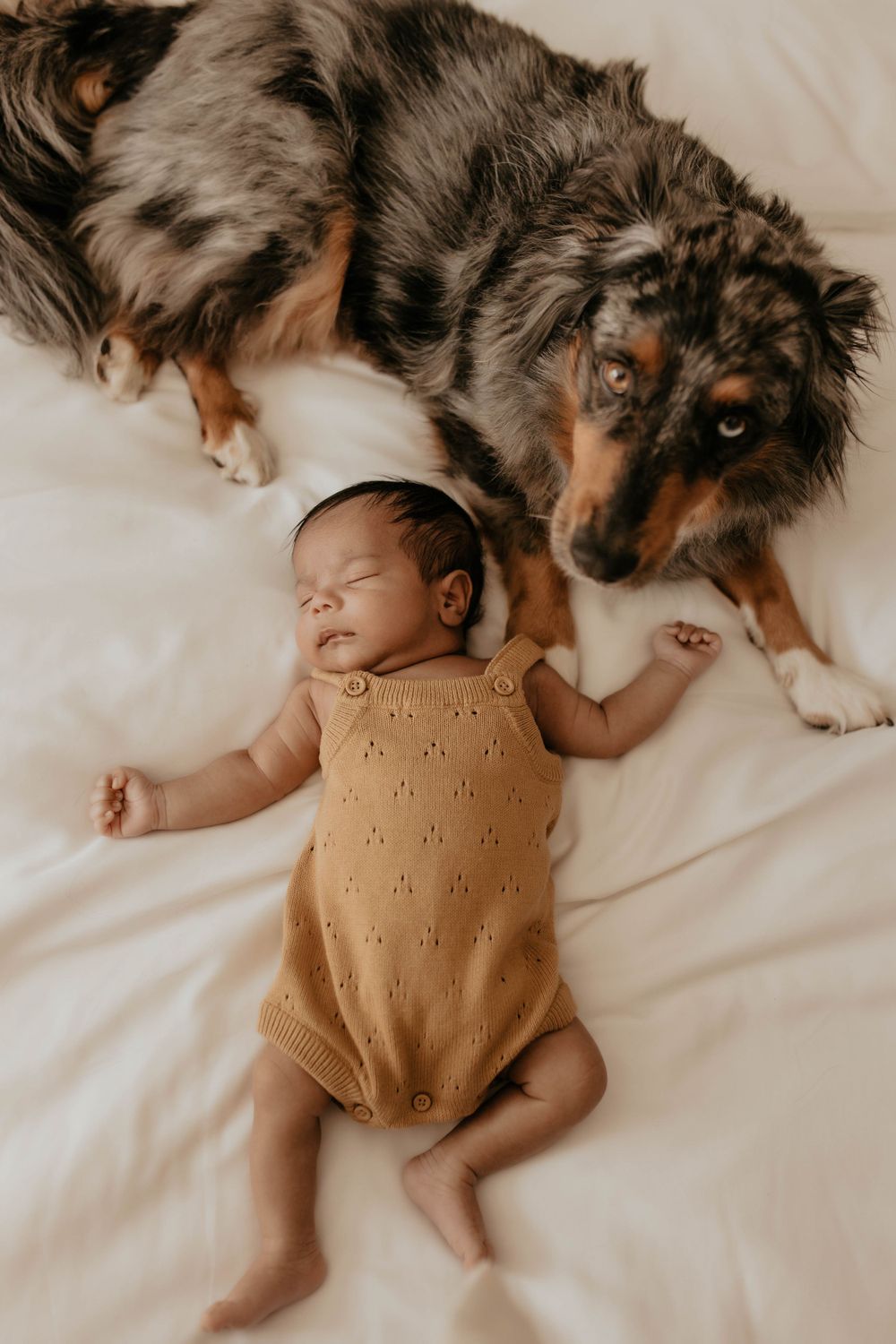 newborn photographer nj, new jersey family photographer, south jersey newborn photographer