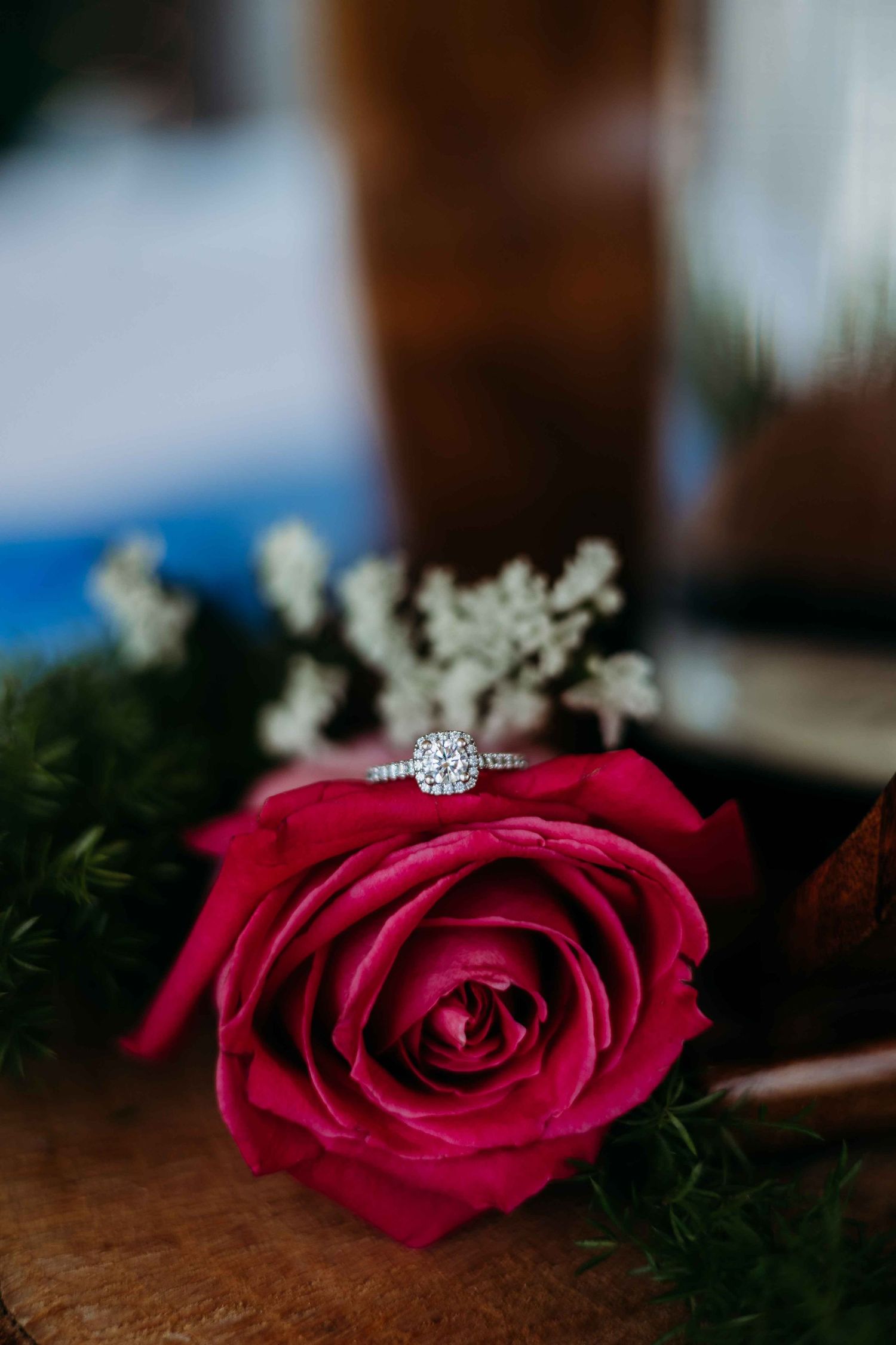 A diamond engagement ring sits atop a deep red rose with dark background.