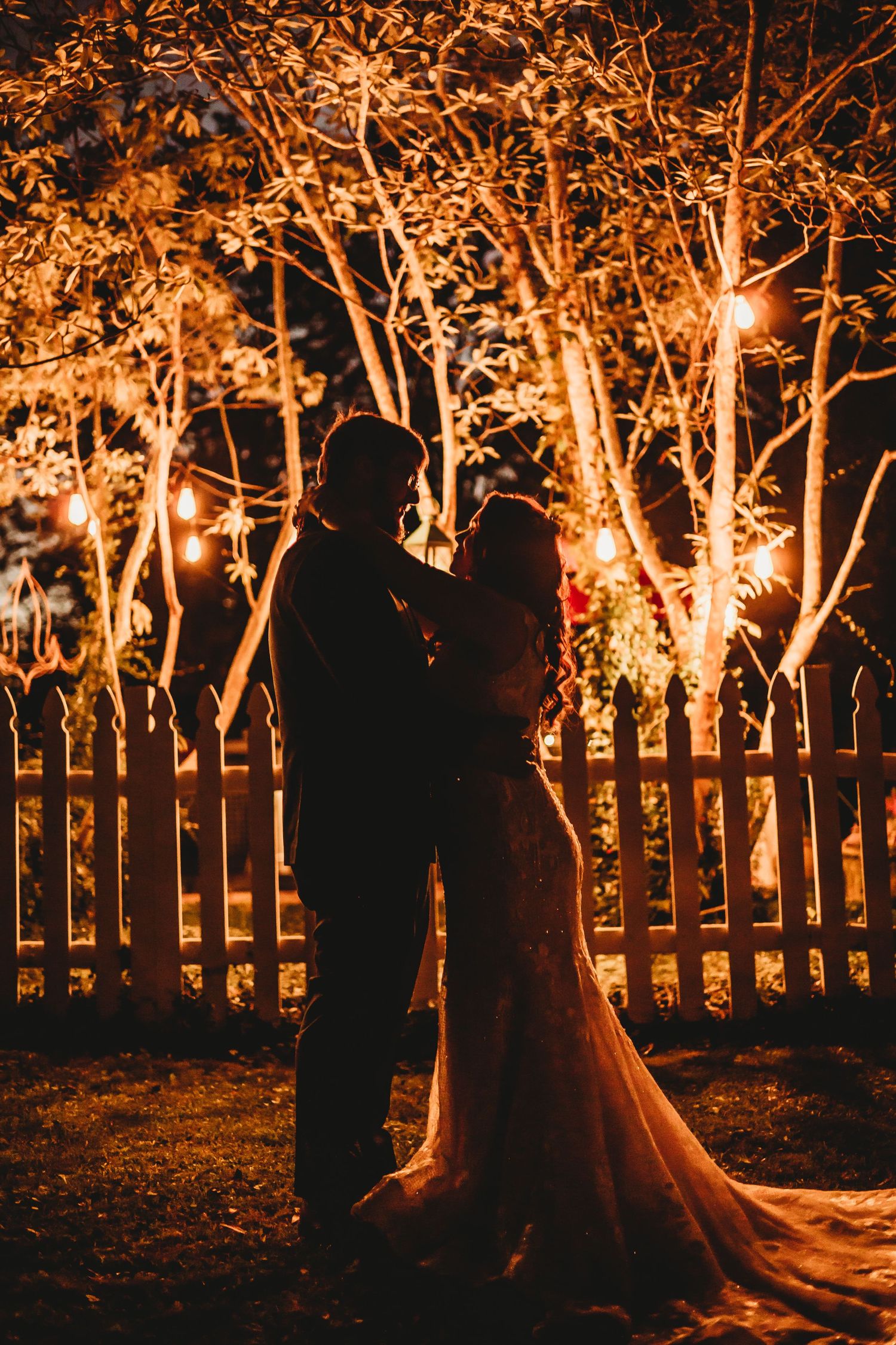 Romantic evening scene with trees lit up by string lights and silhouettes against a wooden fence.