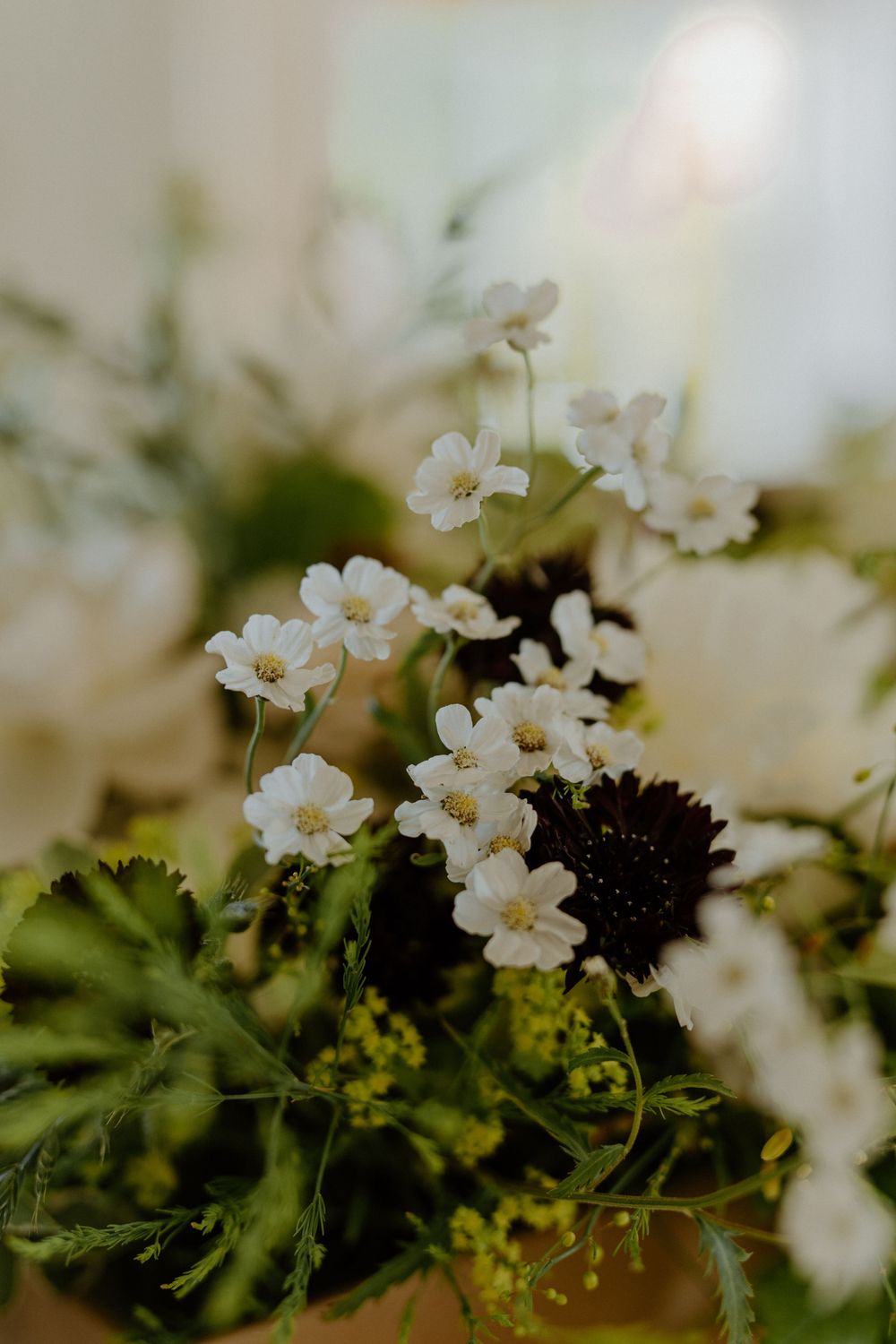 Delicate white flowers and greenery arranged in a soft-focus botanical composition.
