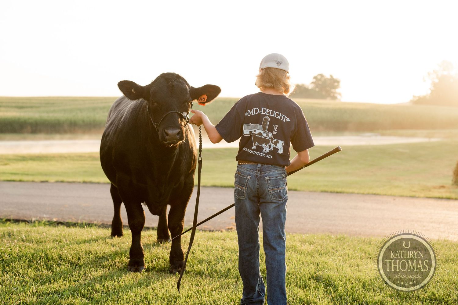 Show steer and handler share a moment during sunset on grassy field.