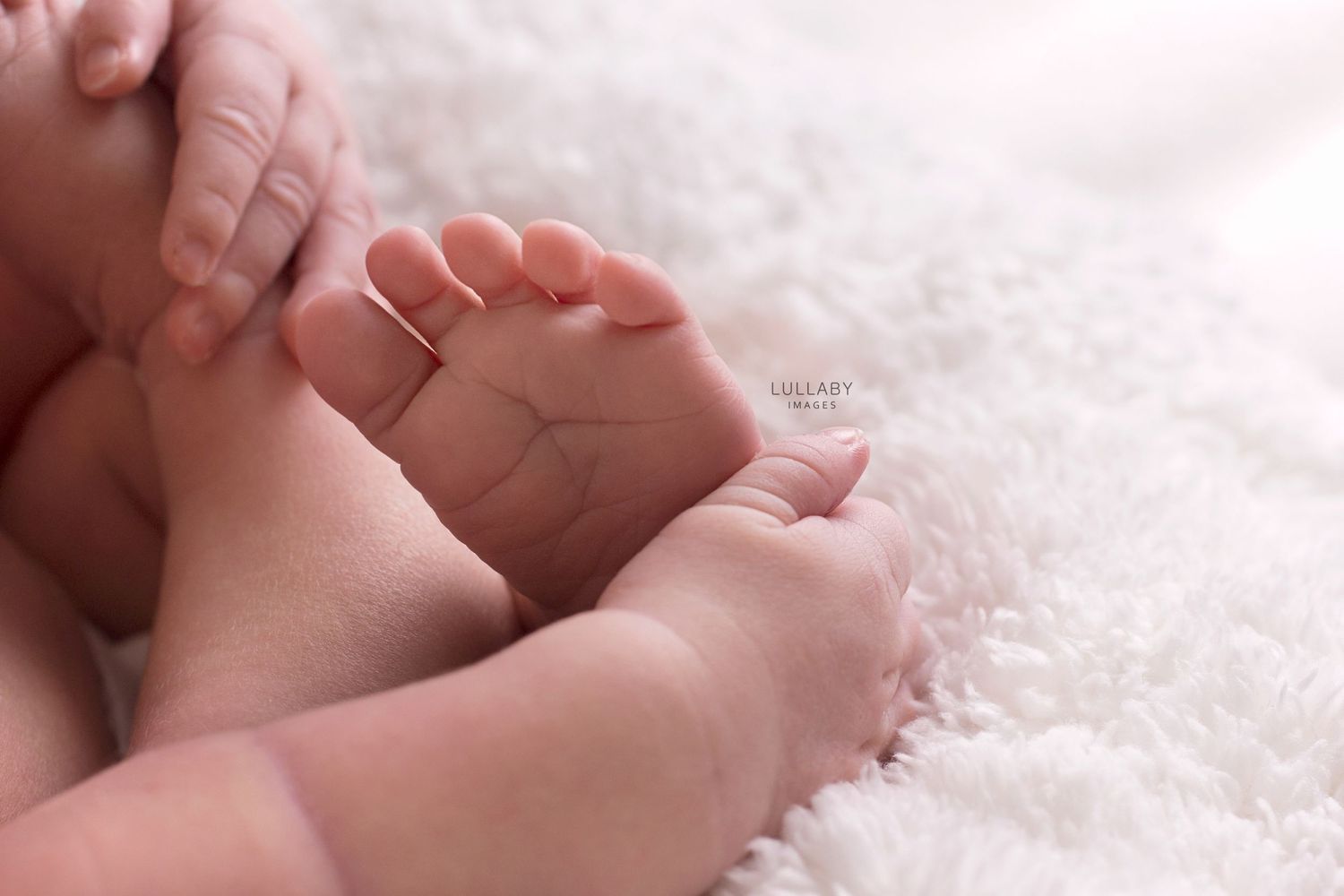 Hong Kong newborn baby photographer Lullaby Images
