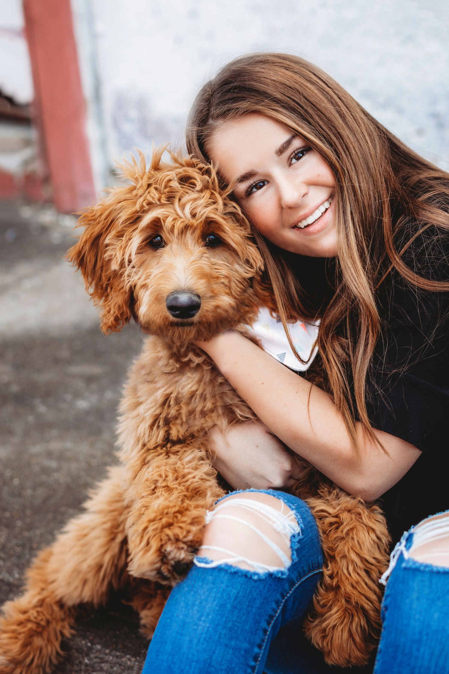 Person cuddling with a fluffy golden-brown dog wearing ripped jeans and black top. Middle TN senior photographer