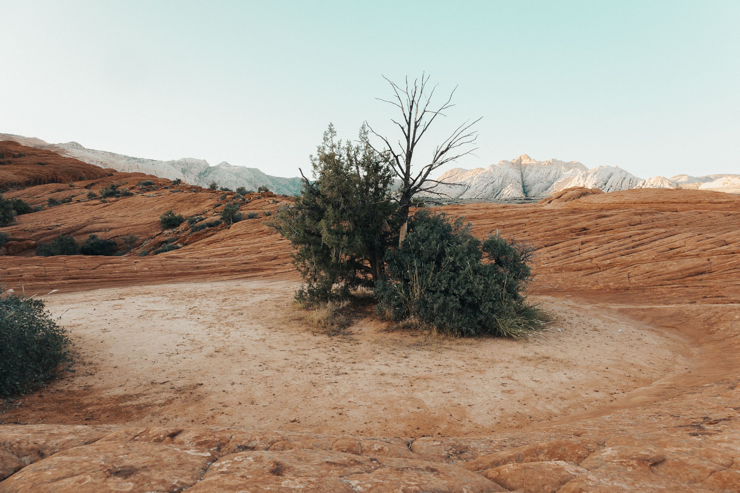 landscape photos prints