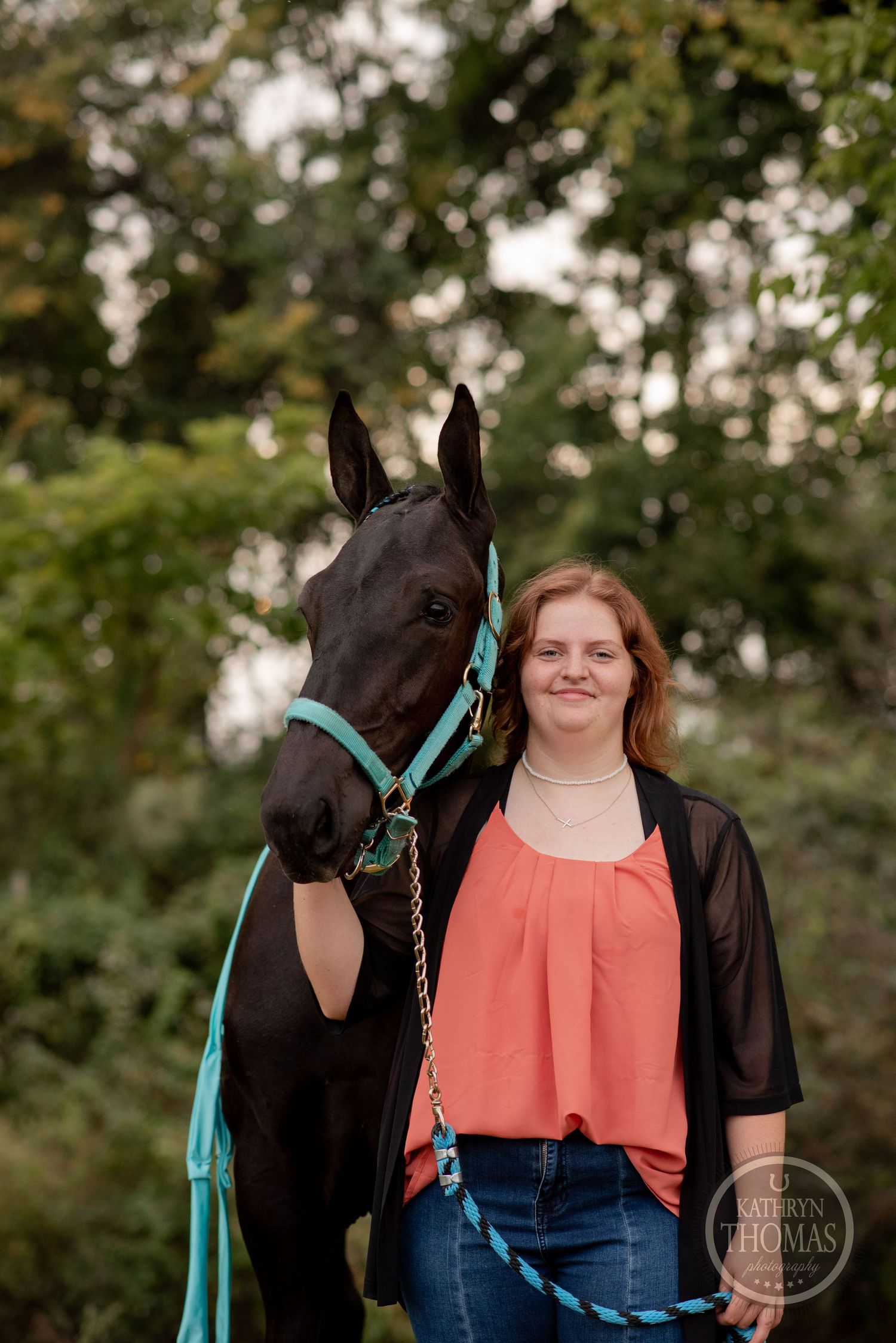 A black horse wearing a turquoise halter poses in front of green foliage.