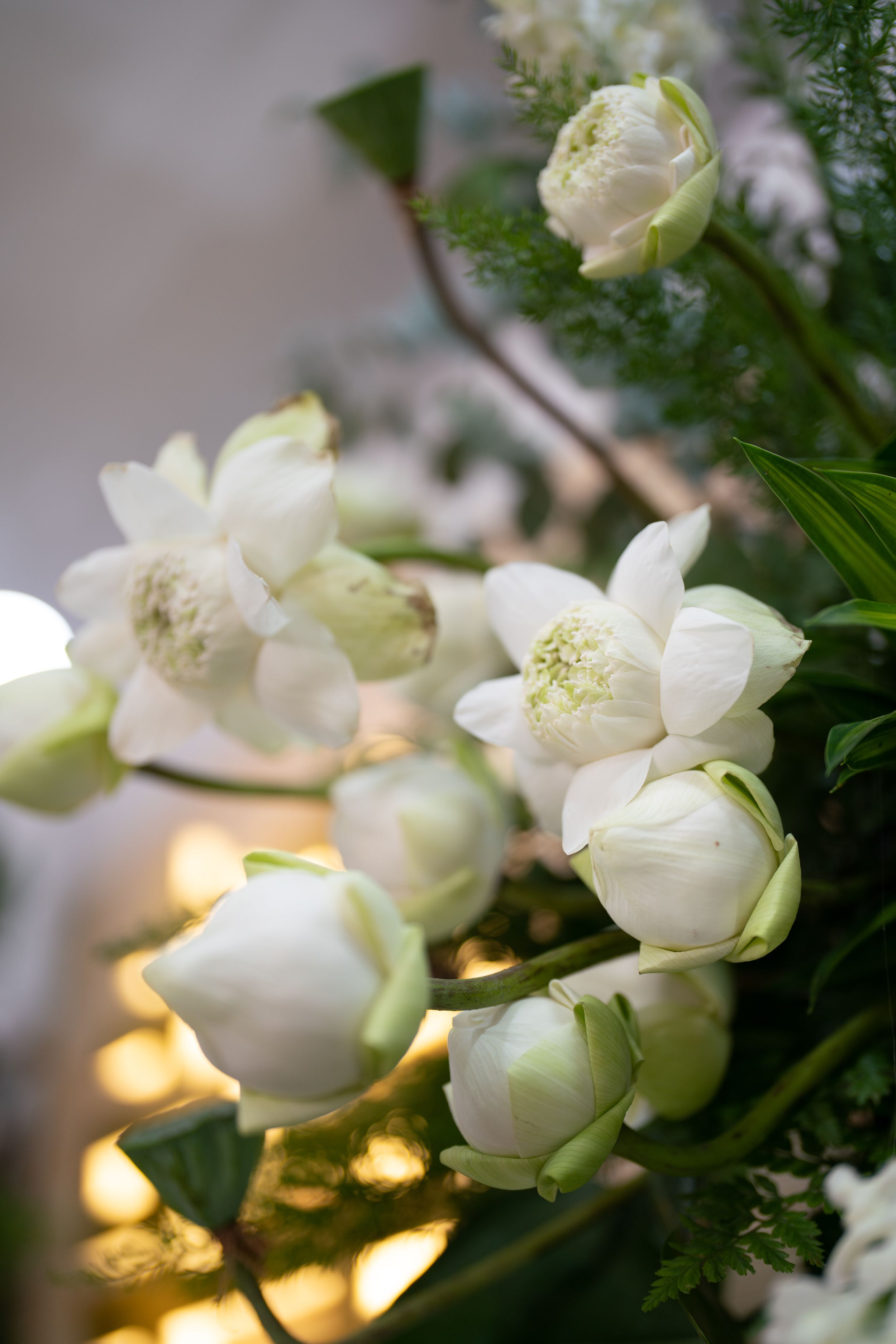 wedding preset, vietnam wedding preset, preset trong treo, wedding preset 2024