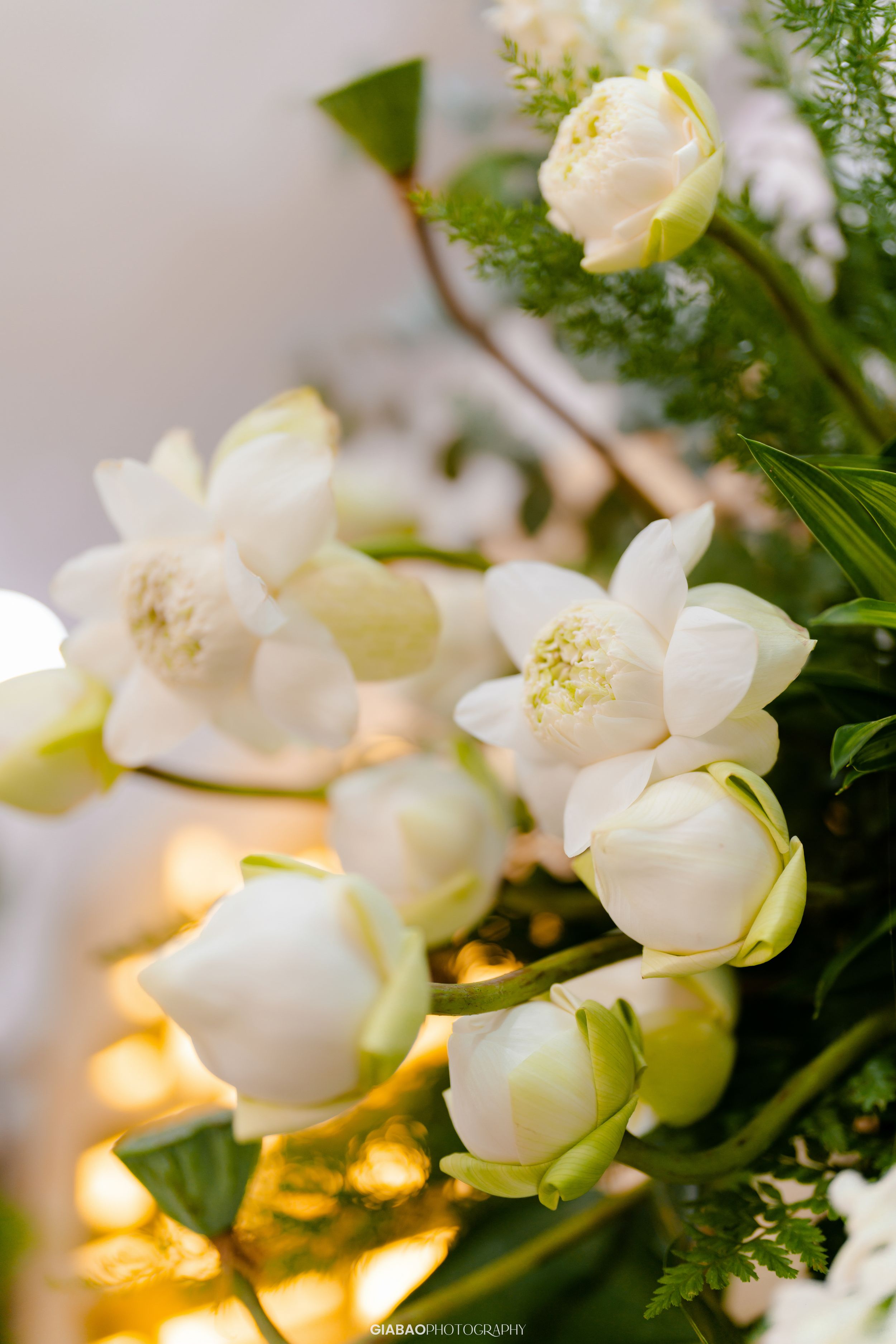 wedding preset, vietnam wedding preset, preset trong treo, wedding preset 2024
