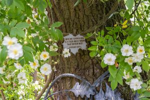Special places, Gertrude Jekyll quote